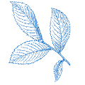 blue icon with vital-looking leaf